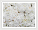 Load image into Gallery viewer, Full Peonies - Framed Print

