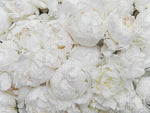 Load image into Gallery viewer, Full Peonies - Puzzle
