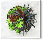 Load image into Gallery viewer, Garden Life - Canvas Print

