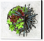Load image into Gallery viewer, Garden Life - Canvas Print
