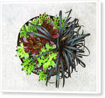 Load image into Gallery viewer, Garden Life - Canvas Print
