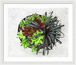 Load image into Gallery viewer, Garden Life - Framed Print
