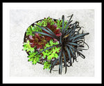 Load image into Gallery viewer, Garden Life - Framed Print

