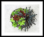 Load image into Gallery viewer, Garden Life - Framed Print
