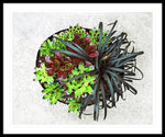 Load image into Gallery viewer, Garden Life - Framed Print
