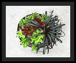Load image into Gallery viewer, Garden Life - Framed Print
