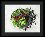 Load image into Gallery viewer, Garden Life - Framed Print

