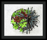 Load image into Gallery viewer, Garden Life - Framed Print
