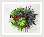 Load image into Gallery viewer, Garden Life - Framed Print
