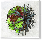 Load image into Gallery viewer, Garden Life - Acrylic Print
