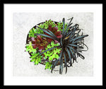 Load image into Gallery viewer, Garden Life - Framed Print
