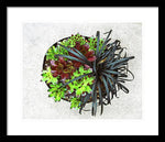 Load image into Gallery viewer, Garden Life - Framed Print
