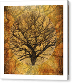 Load image into Gallery viewer, Golden Autumnal Trees - Canvas Print
