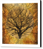 Load image into Gallery viewer, Golden Autumnal Trees - Canvas Print
