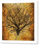 Load image into Gallery viewer, Golden Autumnal Trees - Canvas Print
