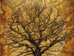 Load image into Gallery viewer, Golden Autumnal Trees - Puzzle
