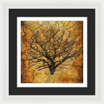 Load image into Gallery viewer, Golden Autumnal Trees - Framed Print
