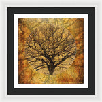 Load image into Gallery viewer, Golden Autumnal Trees - Framed Print
