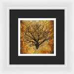 Load image into Gallery viewer, Golden Autumnal Trees - Framed Print
