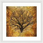 Load image into Gallery viewer, Golden Autumnal Trees - Framed Print
