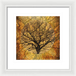 Load image into Gallery viewer, Golden Autumnal Trees - Framed Print
