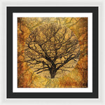 Load image into Gallery viewer, Golden Autumnal Trees - Framed Print
