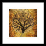 Load image into Gallery viewer, Golden Autumnal Trees - Framed Print
