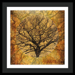 Load image into Gallery viewer, Golden Autumnal Trees - Framed Print
