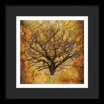 Load image into Gallery viewer, Golden Autumnal Trees - Framed Print

