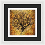 Load image into Gallery viewer, Golden Autumnal Trees - Framed Print

