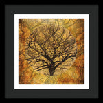 Load image into Gallery viewer, Golden Autumnal Trees - Framed Print
