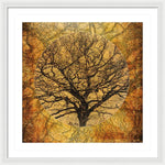 Load image into Gallery viewer, Golden Autumnal Trees - Framed Print
