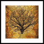 Load image into Gallery viewer, Golden Autumnal Trees - Framed Print
