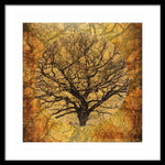 Load image into Gallery viewer, Golden Autumnal Trees - Framed Print
