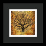 Load image into Gallery viewer, Golden Autumnal Trees - Framed Print
