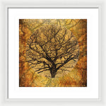 Load image into Gallery viewer, Golden Autumnal Trees - Framed Print
