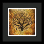Load image into Gallery viewer, Golden Autumnal Trees - Framed Print

