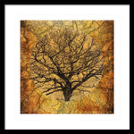 Load image into Gallery viewer, Golden Autumnal Trees - Framed Print
