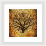 Load image into Gallery viewer, Golden Autumnal Trees - Framed Print
