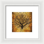 Load image into Gallery viewer, Golden Autumnal Trees - Framed Print
