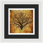 Load image into Gallery viewer, Golden Autumnal Trees - Framed Print
