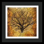 Load image into Gallery viewer, Golden Autumnal Trees - Framed Print

