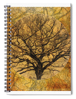 Load image into Gallery viewer, Golden Autumnal Trees - Spiral Notebook
