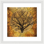 Load image into Gallery viewer, Golden Autumnal Trees - Framed Print

