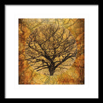 Load image into Gallery viewer, Golden Autumnal Trees - Framed Print
