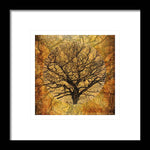 Load image into Gallery viewer, Golden Autumnal Trees - Framed Print
