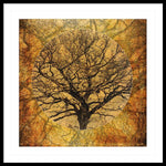 Load image into Gallery viewer, Golden Autumnal Trees - Framed Print
