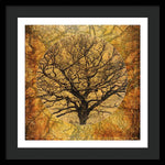 Load image into Gallery viewer, Golden Autumnal Trees - Framed Print

