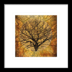 Load image into Gallery viewer, Golden Autumnal Trees - Framed Print
