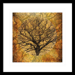 Load image into Gallery viewer, Golden Autumnal Trees - Framed Print
